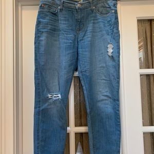Hudson Jeans Krista Super Skinny Crop Jeans Size32